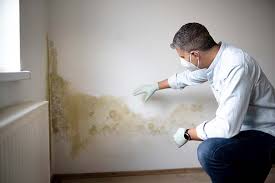 Best Mold Removal for HVAC Installations  in Zachary, LA